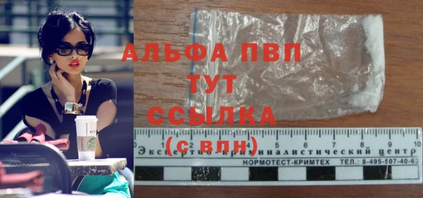 стаф Липки