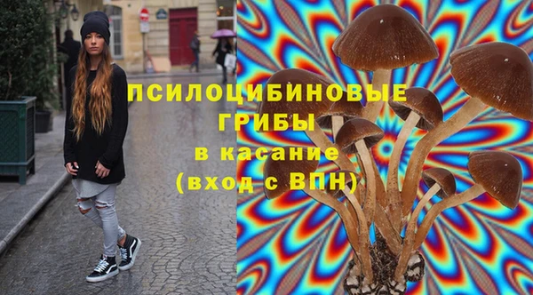 a pvp Алексин